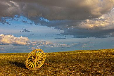 被游戏商店钉坏的Switch 2公开拍卖 出价突破20万美元